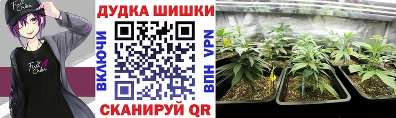 даркнет Telegram  МЕГА сайт  Приволжск  МАРИХУАНА LSD WEED 